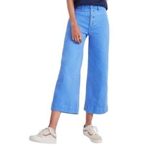 Madewell Emmett Pants Button-Front Edition | Sz 28